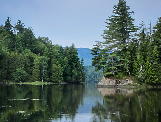 Adirondack Nature Trails: Rich Lake from the Rich Lake Trail (14 August 2017)