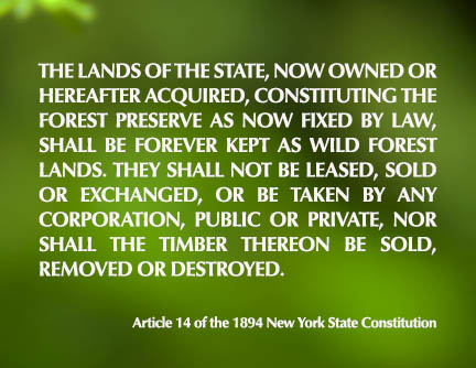 Adirondack Park: The "Forever Wild" article. Article 14 of the New York State Constitution. 