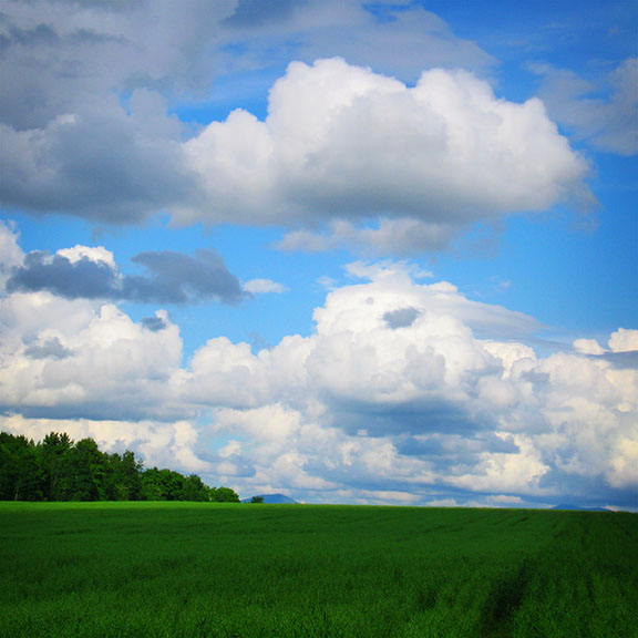 Farming in the Adirondacks: Farm Field along the Harrietstown Road in Franklin County.