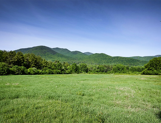 Adirondack Wetlands: View of the High Peaks from the scenic overlook (9 June 2018)