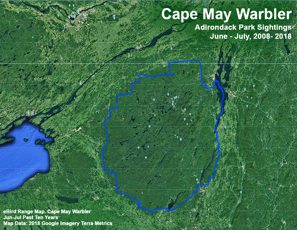 Adirondack Birding: Cape May Warbler Sightings Map based on eBird reports, June - July 2000-2018. Click for a larger image.