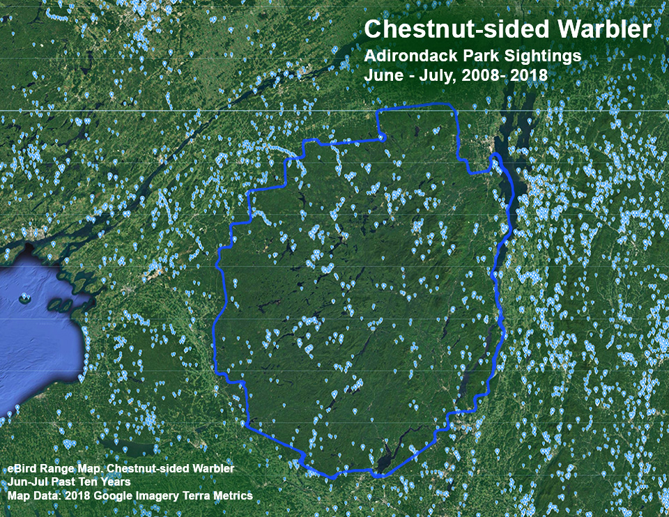 Adirondack Birding: Chestnut-sided Warbler Sightings Map based on eBird reports, June - July 2008-2018. Click for a larger image. Adirondack Birding: Chestnut-sided Warbler Sightings Map based on eBird reports, June - July 2008-2018. Click for larger image.