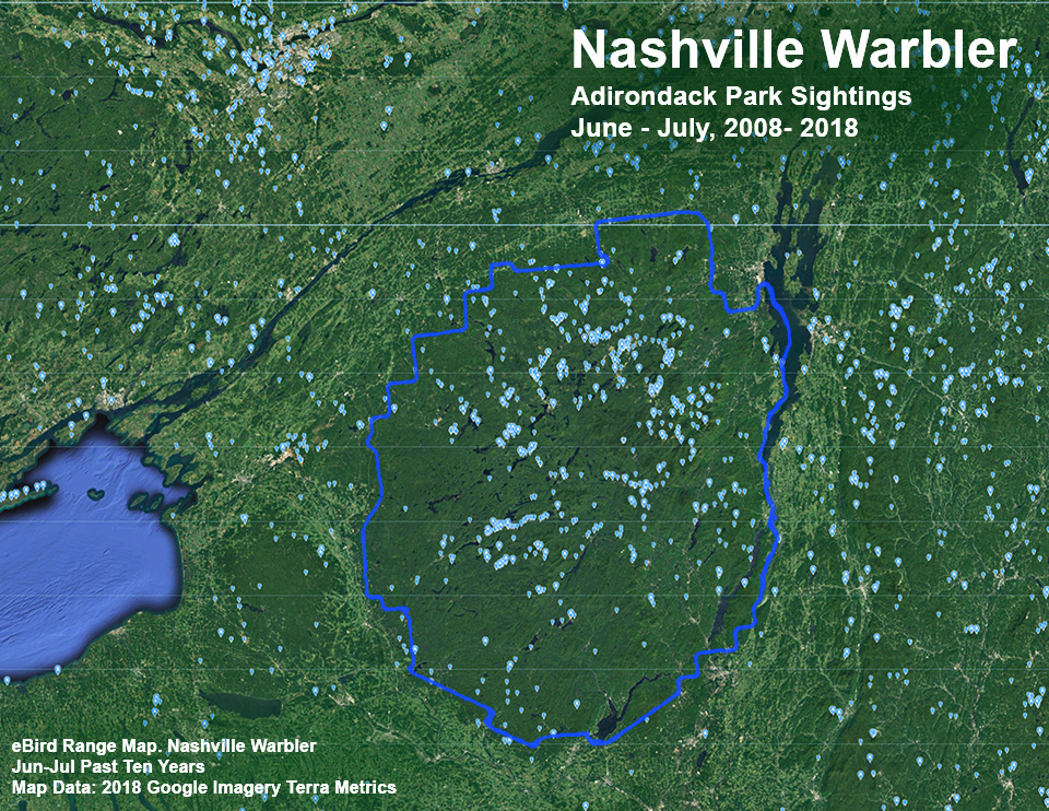 Adirondack Birding: Nashville Warbler Sightings Map based on eBird reports, June - July 2000-2018. Click for a larger image, opening in a new window. Adirondack Birding: Nashville Warbler Sightings Map based on eBird reports, June - July 2000-2018. Click for a larger image.