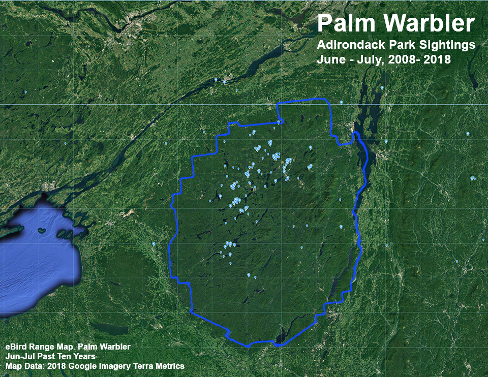Adirondack Birding: Palm Warbler Sightings Map based on eBird reports, June - July 2008-2018. Click for a larger image, opening in a new window. Adirondack Birding: Palm Warbler Sightings Map based on eBird reports, June - July 2008-2018.