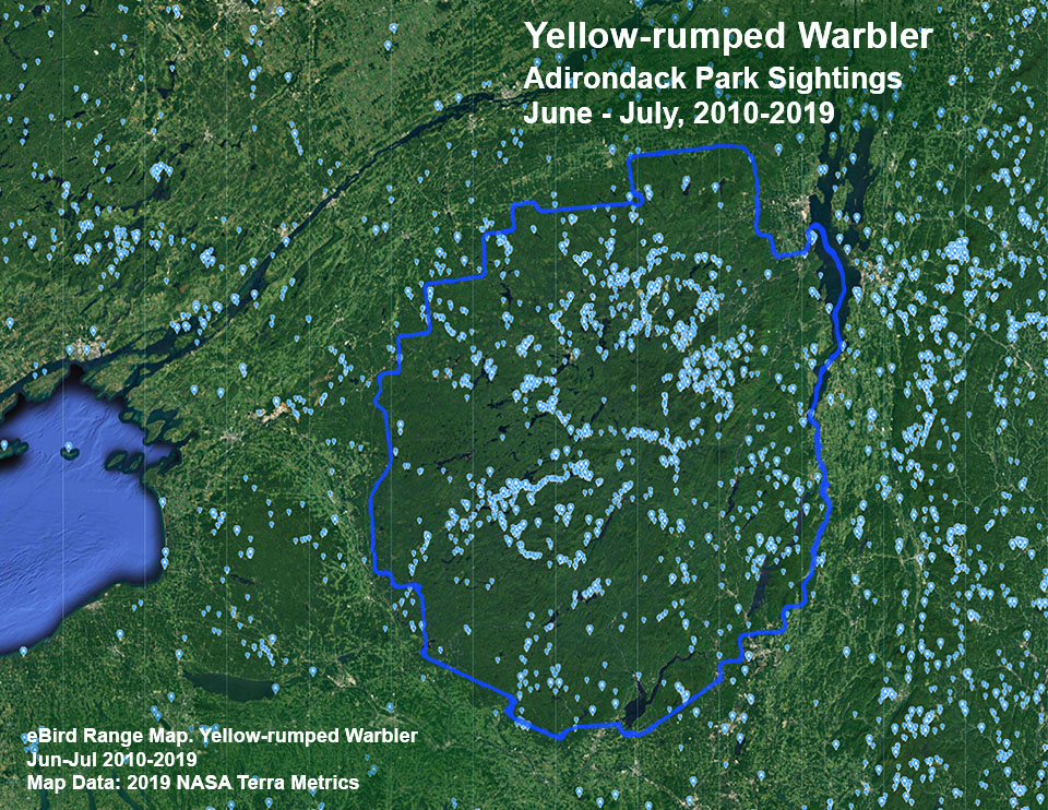 Adirondack Birding: Yellow-rumped Warbler Sightings Map based on eBird reports, June - July 2009-2019. Click for a larger image, opening in a new window. Adirondack Birding: Yellow-rumped Warbler Sightings Map based on eBird reports, June - July 2009-2019.
