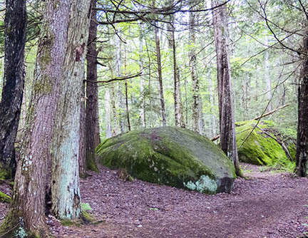 Adirondack Geology: Glacial Erratic on the Heron Marsh Trail (3 July 2015).