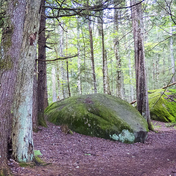 Adirondack Geology: Glacial Erratic on the Heron Marsh Trail at the Paul Smiths VIC (3 July 2015) Adirondack Geology: Glacial Erratic on the Heron Marsh Trail at the Paul Smiths VIC (3 July 2015)