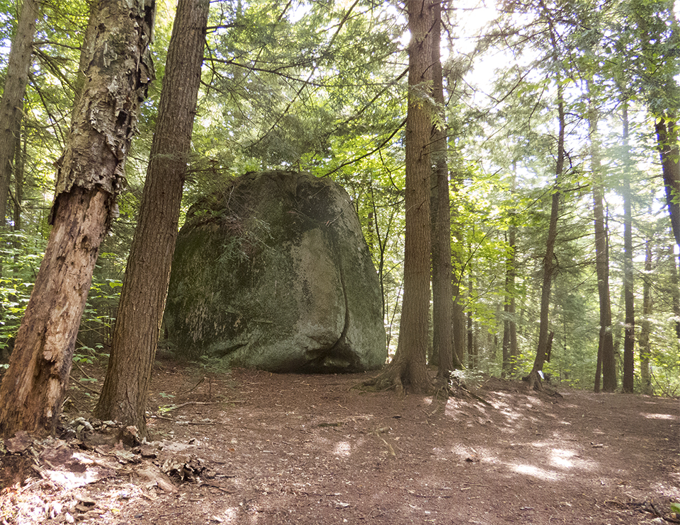 Adirondack Geology: Glacial Erratic on the Rich Lake Trail at the Adirondack Interpretive Center (14 August 2017). 