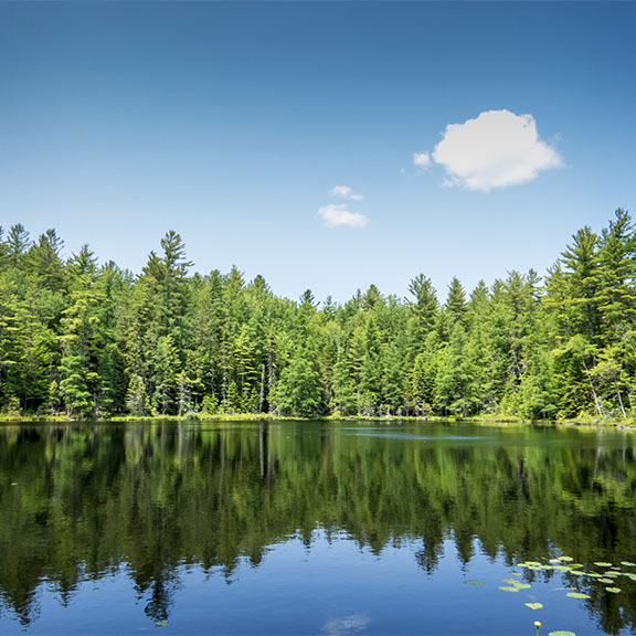 Adirondack Geology: Simkins Pond, a kettle pond at the Paul Smiths VIC (11 July 2015)