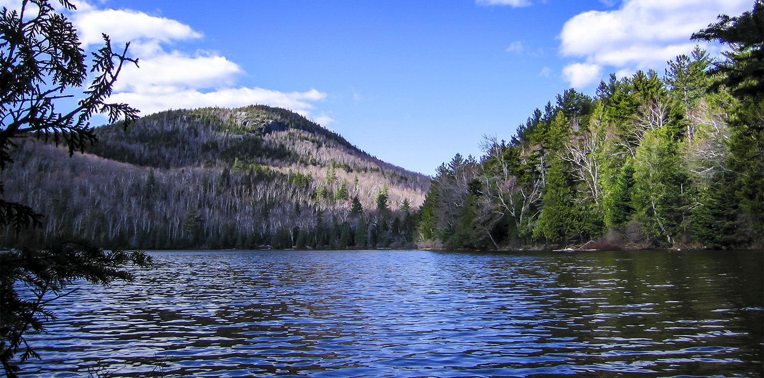 Adirondack Habitats: Forest communities around Heart Lake, Lake Placid (9 May 2011). Click for a larger image, opening in a new window. Adirondack Habitats: Forest communities around Heart Lake, Lake Placid (9 May 2011).
