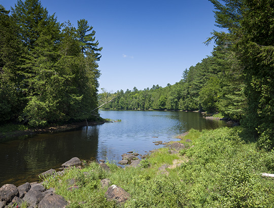 Adirondack Nature Trails: Sucker Brook Trail at the Adirondack Interpretive Center (5 August 2018)