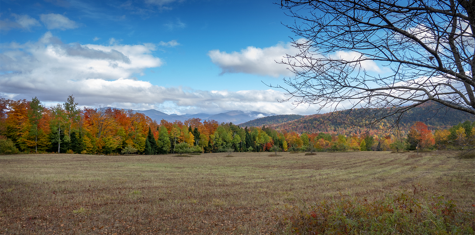 Adirondack Ecological Communities: Autumn colors from the Old Orchard Loop at Heaven Hill (6 October 2018). Click for a larger image, opening in a new window. Adirondack Ecological Communities: Autumn colors from the Old Orchard Loop at Heaven Hill (6 October 2018).