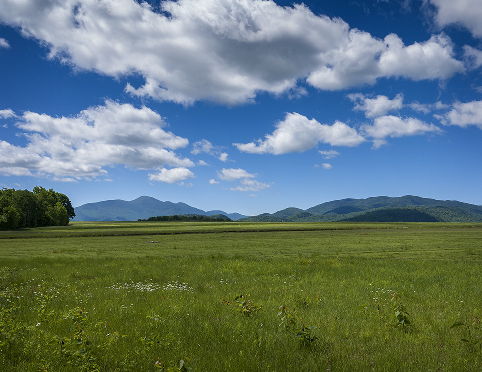 Adirondack Habitats: High Peaks from the Potato Field Loop at John Brown Farm (21 June 2018).