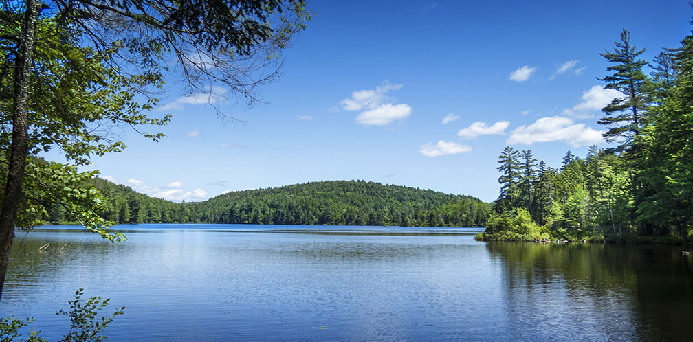 Adirondack Nature Trails: Black Pond from the Black Pond Trail (2 July 2015). Click for a larger image, opening in a new window. Adirondack Nature Trails: Black Pond from the Black Pond Trail (2 July 2015).