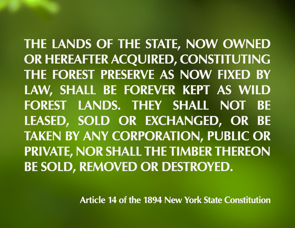 Adirondack Park: Forever Wild -- Article 14 of the New York State Constitution Adirondack Park: Forever Wild -- Article 14 of the New York State Constitution