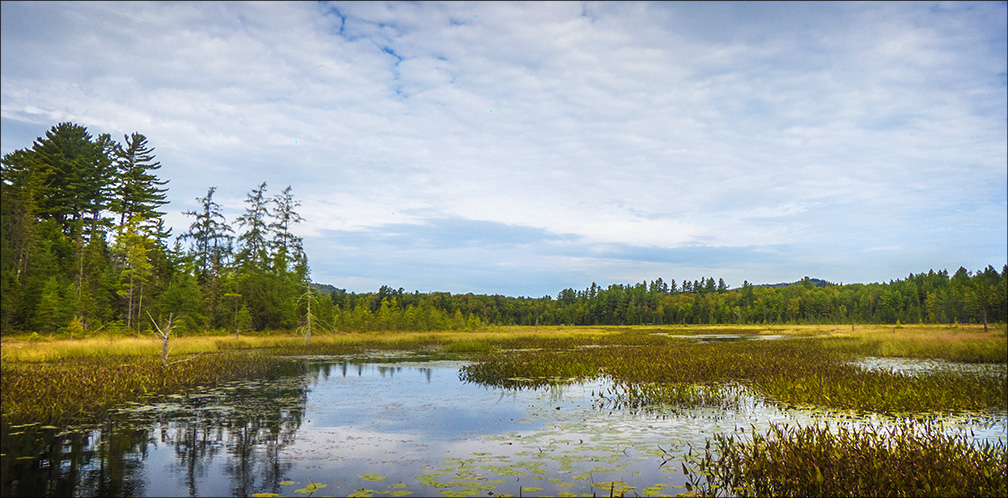 Adirondack Wetlands: Heron Marsh from the Floating Bridge at the Paul Smiths VIC (7 September 2013)