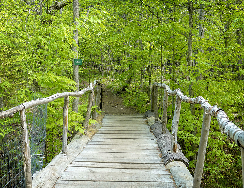 Adirondack Habitats: Main trail at the Adirondack Wildlife Refuge (25 May 2018). Adirondack Habitats: Main trail at the Adirondack Wildlife Refuge (25 May 2018).