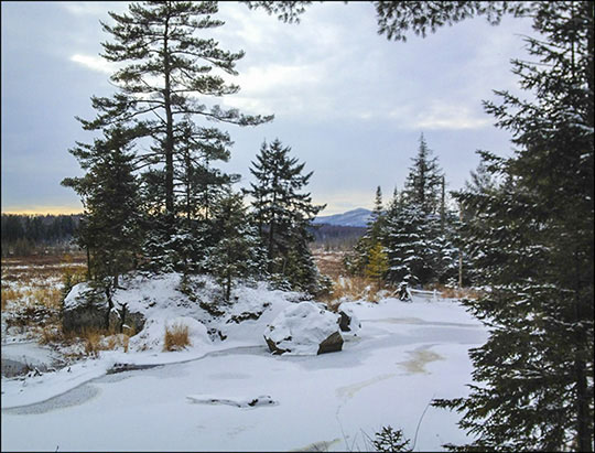 Adirondack Wetlands: Heron Marsh from the Barnum Brook Trail