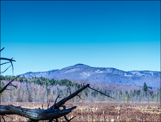 Adirondack Wetlands: Heron Marsh and Saint Regis Mountain (23 April 2013)