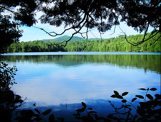 Black Pond from the Black Pond Trail at the Paul Smiths VIC (20 July 2012)