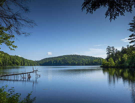 Adirondack Habitats:  Black Pond from the Black Pond Trail (23 July 2019)