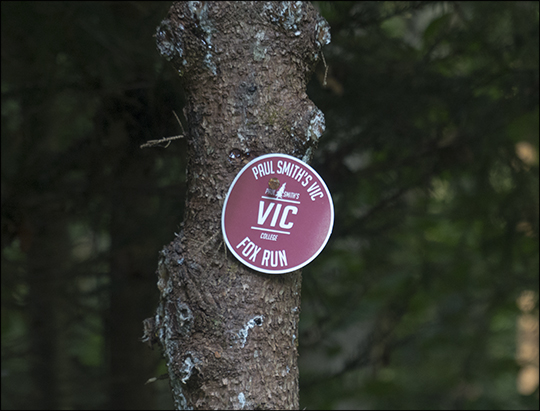 Red trail marker along the Fox Run Trail (21 August 2013)