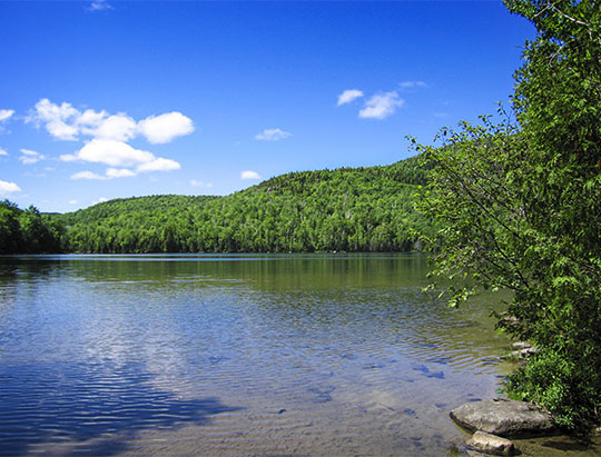 Looking northeast from the Heart Lake Trail (19 June 2005)