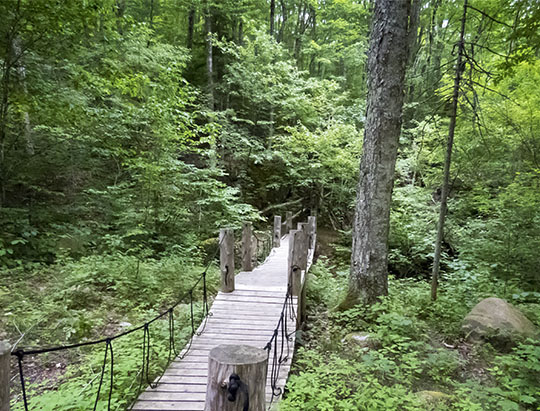 The Bridge to Nowhere on the Henry's Woods Loop Trail (6 July 2017) The Bridge to Nowhere on the Henry's Woods Loop Trail (6 July 2017)