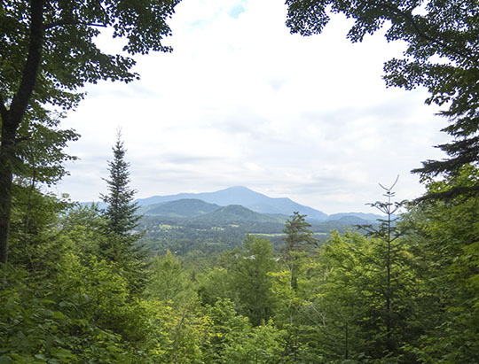 View from the Henry's Woods Plateau Trail - Wilmington Notch Overlook (6 July 2017)