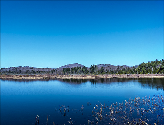 Adirondack Wetlands: Heron Marsh from the first overlook (23 April 2013) Adirondack Wetlands: Heron Marsh from the first overlook (23 April 2013)