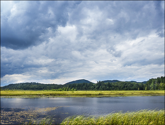 Adirondack Wetlands: Heron Marsh from the first overlook (29 July 2013) Adirondack Wetlands: Heron Marsh from the first overlook (29 July 2013)