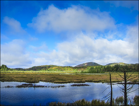 Adirondack Wetlands: Heron Marsh from the elevated tower (19 September 2012)