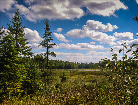 Adirondack Wetlands: Heron Marsh from the overlook (19 September 2004)