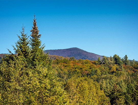 Adirondack Mountains: View from the Potato Field Loop at John Brown Farm (27 September 2015) Adirondack Mountains: View from the Potato Field Loop at John Brown Farm (27 September 2015)