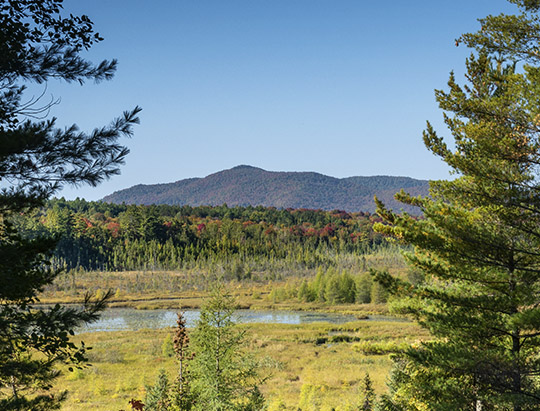 Adirondack Wetlands: Heron Marsh from the Logger's Loop Trail (21 September 2019)