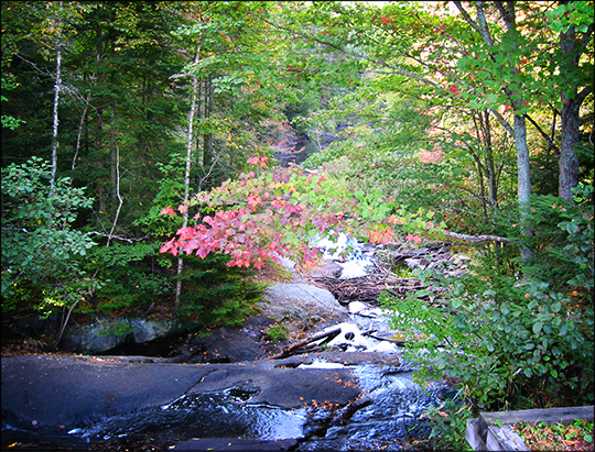 Shingle Mill Falls from the Logger's Loop Trail (17 September 2004) Shingle Mill Falls from the Logger's Loop Trail (17 September 2004)