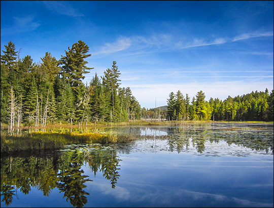 Adirondack Wetlands: Heron Marsh from Shingle Mill Falls (17 September 2004)