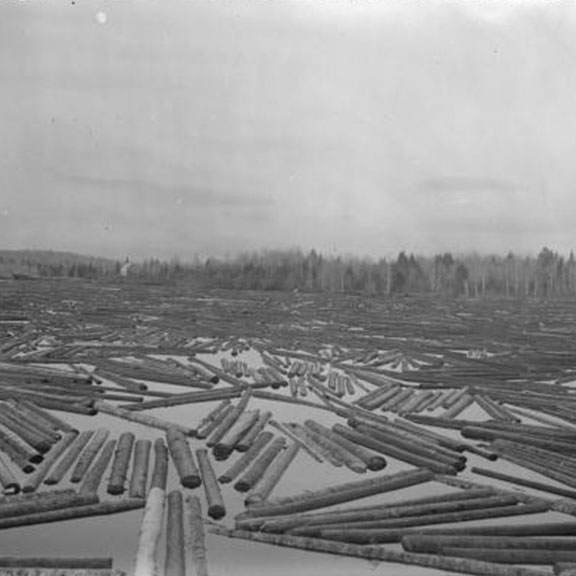 Logging the Adirondacks: Spruce Logs above the dam on the Boreas River.  New York State Archives.