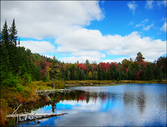 North end of Long Pond near the lean-to (27 September 2012)