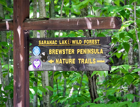Trailhead sign for the Peninsula Nature Trails, Lake Placid (8 June 2018) Trailhead sign for the Peninsula Nature Trails, Lake Placid (8 June 2018)