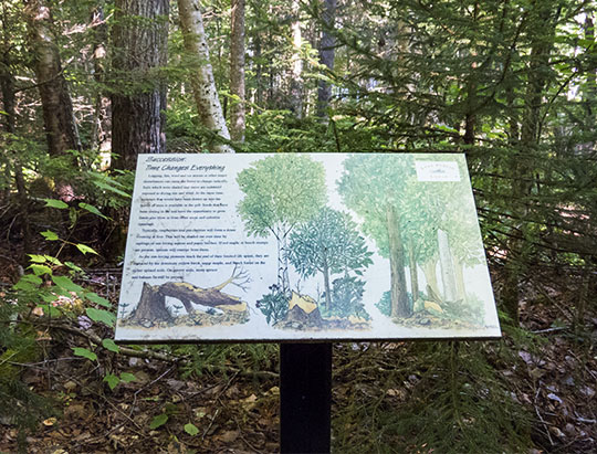 Interpretive Trail Sign on the Peninsula Nature Trails (28 July 2015) Interpretive Trail Sign on the Peninsula Nature Trails (28 July 2015)