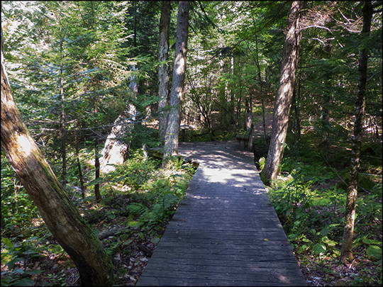 Adirondack Wetlands: Boardwalk over swampland on the east end of the Silvi Trail (19 August 2013) Adirondack Wetlands: Boardwalk over swampland on the east end of the Silvi Trail (19 August 2013)