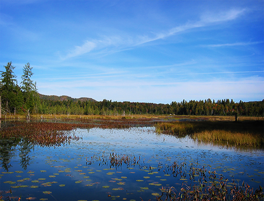 Adirondack Wetlands: Heron Marsh from the floating bridge (17 September 2004)